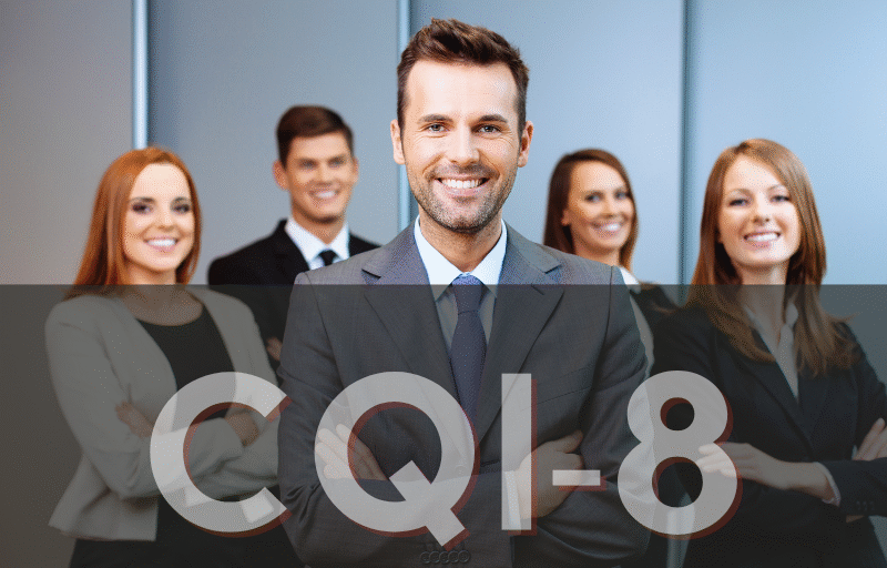 CQI-8 Eğitimi - CQI-8 layered process audit katmanlı proses denetimi egitimi