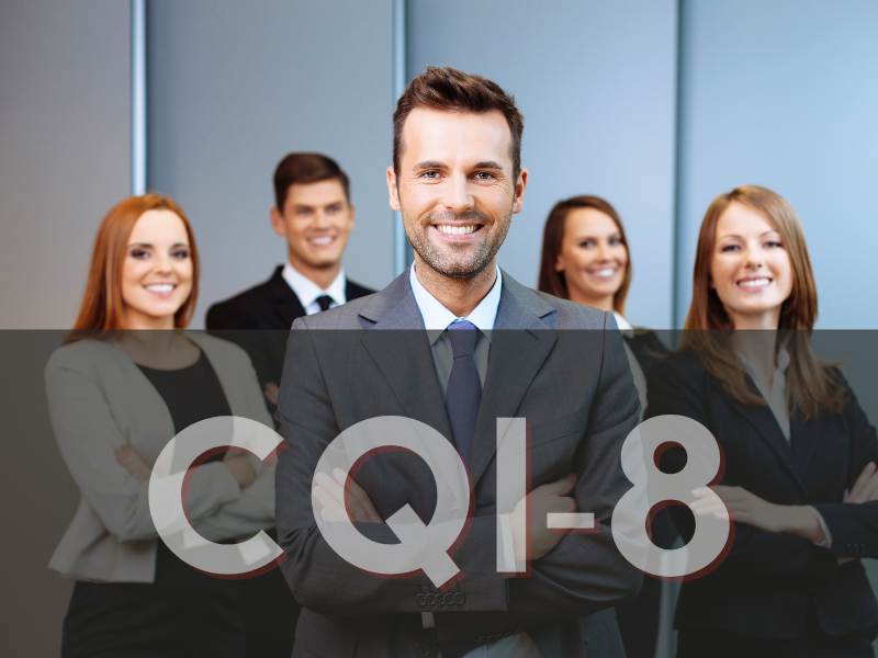 CQI-8 Eğitimi - CQI-8 layered process audit katmanlı proses denetimi egitimi